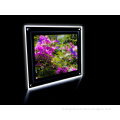 Ecominic and Fashioable LED Transparency Light Box